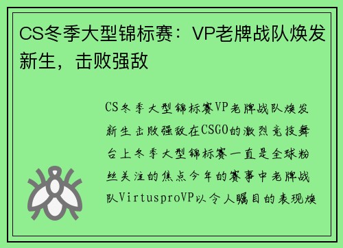 CS冬季大型锦标赛：VP老牌战队焕发新生，击败强敌